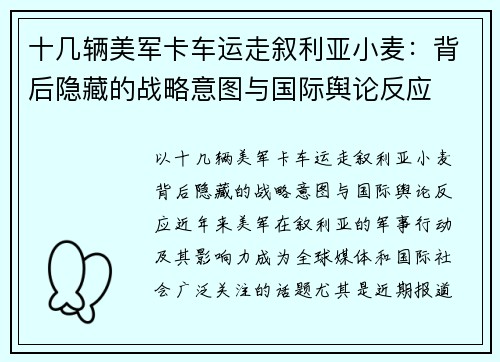 十几辆美军卡车运走叙利亚小麦：背后隐藏的战略意图与国际舆论反应